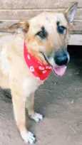Lua