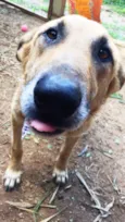 Lua