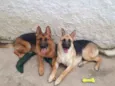 Thor e Arya