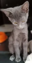 LUNA