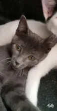LUNA