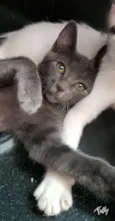 LUNA