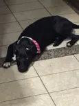 Tina