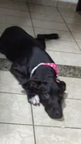 Tina