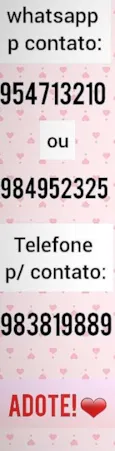 Estelar