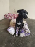 Nina