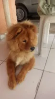 Teo