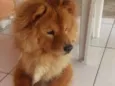 Teo