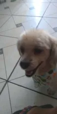 Nome desconhecido