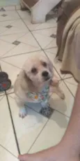 Nome desconhecido