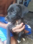 Nao identificado 
