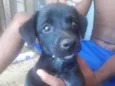 Nao identificado 