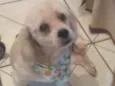 Nome desconhecido