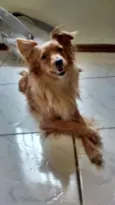 Nina