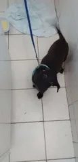 Nil