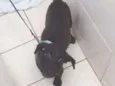 Nil