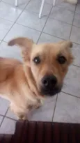 Isabel 