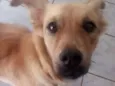 Isabel 