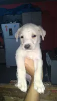 Bernardo