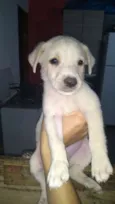 Bernardo
