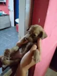 Mimi