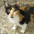 Samantha