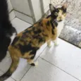 Samantha