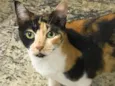 Samantha