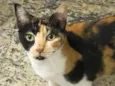 Samantha