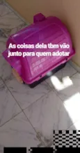 Pérola