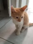 Frederico
