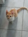 Frederico
