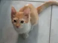 Frederico