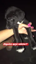 Não tem nome
