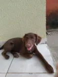 Esmeralda