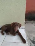 Esmeralda