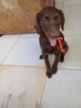 Esmeralda