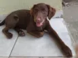 Esmeralda
