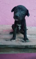 Bella