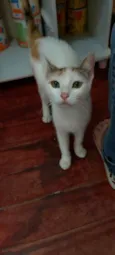 Yuki