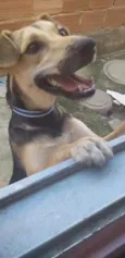 Belinha