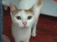Yuki