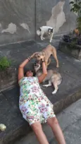 Marmaduque