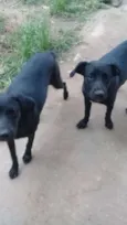Não  tem nome