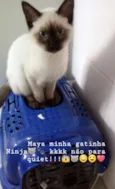 Maya