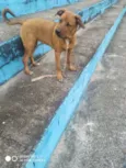 Layla