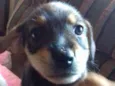 sem nome