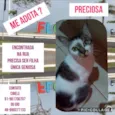 Preciosa
