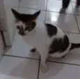 Preciosa