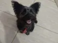 Neguinho